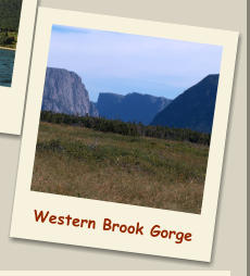 Western Brook Gorge